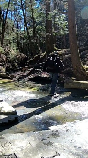 Crossing The Creek! #water #creek #asmr
