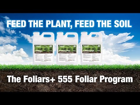 EW Turf Talk - Feed The Plant, Feed the Soil, The Foliars+ 555 Foliars Program