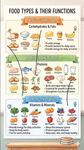 Types of food #food #evs #typesof food
