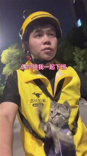 收养流浪猫后，你有了挂念，它有了期待 #流浪猫 #我和流浪猫故事 #宠物 #外卖 #治愈系 #骑手