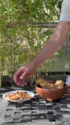 No tires más las semillas de tu zapallo Estas ideas son geniales para usarlas como snack en picadas o cuando tenes ganas de algo rico. #zapallo #snack #semillas #reutilizar #rapido