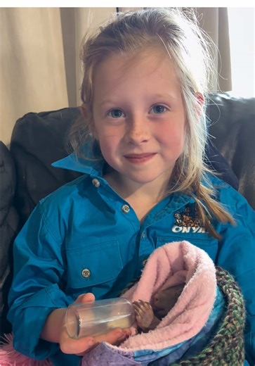 Ashlee’s just got home from a big day at school, gets changed straight away, and rips in helping me with little Sandy the wombat 🍼💚 Springtime means it’s flat out here at the shelter, so many critters coming in needing a bit of love and care. Sandy came in super fragile, one of the youngest wombats we’ve ever tried to rear, but she’s doing so well now. She’s just starting to get her fuzz coming through and it’s a really good sign she’s on the right track 🙌 For anyone who doesn’t know, baby wo