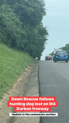 46K views · 230 reactions | RESCUE teams from Dawn RESCUE and...