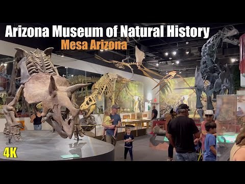 Arizona Museum of Natural History - Mesa Arizona - Dinosaurs Exhibits - 4K