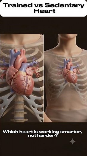 TRAINED Vs SEDENTARY HEART | This Actually Happens To Your Heart Muscle