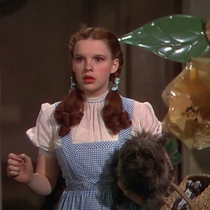 8.9K views · 189 reactions | One of the most iconic scenes in history. Join us tonight as we play one of the worlds most cherished movies ❤️ The Wizard of Oz, 7.45pm Tonight on TVNZ 1 | TVNZ 1 | Facebook