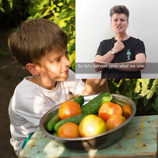 Harvest Festival Song | Let's Harvest by Al Start | Download Now!