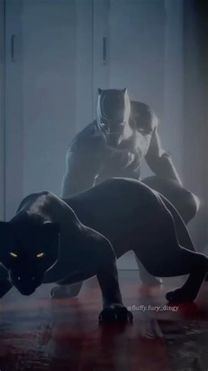 Panther transformation #trending #viral #cat #fyp #shorts #views