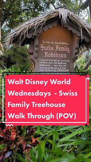 Explore the Swiss Family Treehouse at Disney's Magic Kingdom