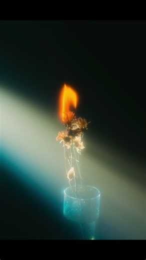 Mastering Still Life Photography: Tips and Tricks