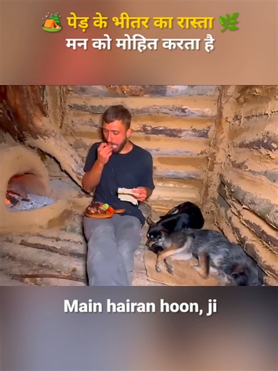 Building an Amazing Tree House Shelter for Outdoor Life