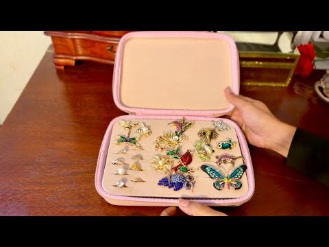 Elegant Jewelry Organizer Case | GWCASE Amazon Jewelry Storage Review
