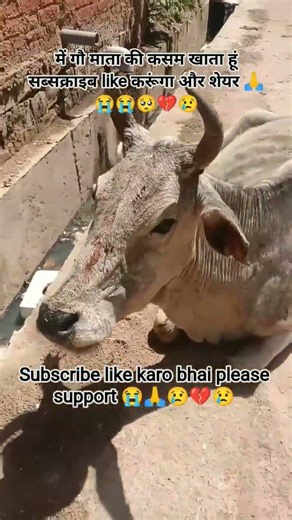 #viralshorts #😭🙏🥺गौ माता को घर से बाहर #shortsviral #viralvideo #shortvideo #short #viral #youtube 💔