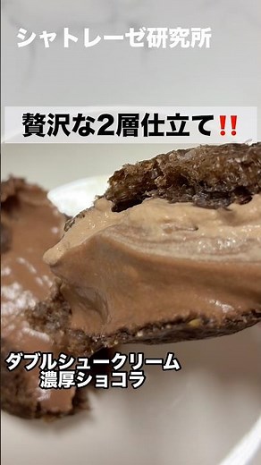 目指せシャトレーゼ全商品レビュー！第25弾【ダブルシュークリーム濃厚ショコラ】