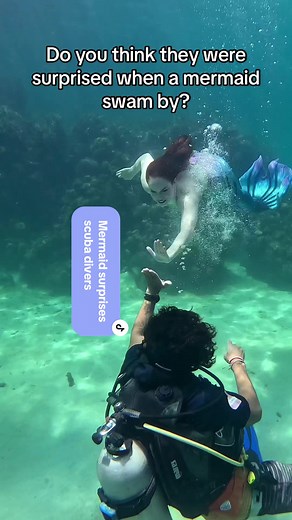 Haha whoops! Do you think these scuba divers were surprised? Or do you think they knew I was friendly? 🧜‍♀️ @Finfolk Productions Aqua Fairy 🐚 @Kariel Xciting (use my code MEGANREF to save on your first order!) 🎥 @Elise #mermegan #missmeganisamermaid #mermaid #mermaidtail #realmermaid #ocean #reef #underwater #coralreef #diver #scubadiver #scuba