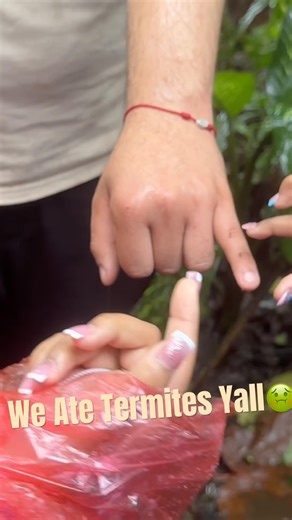 We ATE Termites 🤢#asmr #termites #explore