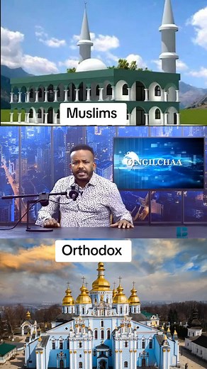 Gingilchaa Seexanni: Qaanqeeshow Fun Funny