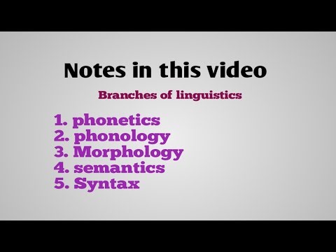 Branches of linguistics in English | phonetics | phonology | morphology | semantics | syntax |
