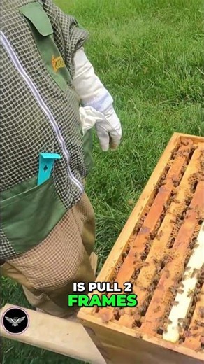 Beekeeper's Nightmare: New Queen Can't Lay Eggs! #shorts