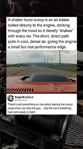 Shaker Hood Scoop — Why It Moves #car #cool #muscle