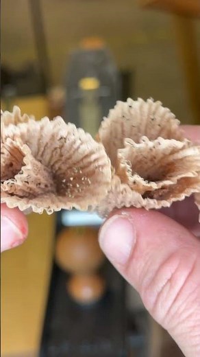 MOST IMPORTANT tip for hand plane setup #shorts