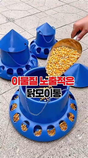 닭키우기 닭모이통
