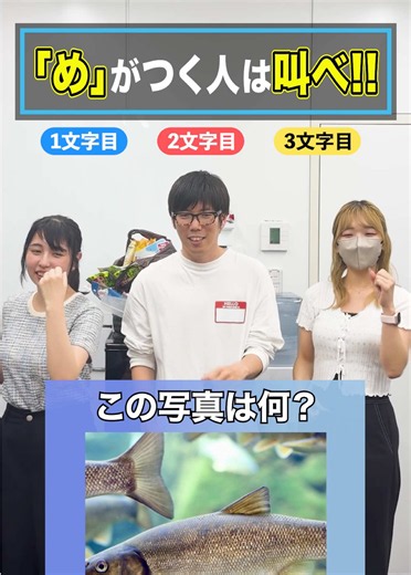 め組のひと — 息ぴったりのスズメ動画【会社の日常】
