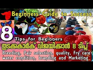 തുടക്കകാർ അറിഞ്ഞിരിക്കേണ്ട 8 ടിപ്സ് || Beginners guide for guppy farming malayalam | Moina culture