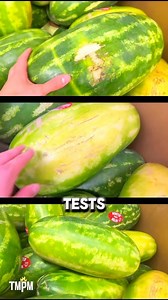 7.9K views · 22 reactions | The watermelon (Citrullus lanatus) is a large, sweet fruit originally from southern Africa. It’s related to cantaloupe, zucchini, pumpkin, and cucumber. Watermelon is packed with living H3o2 structured water, vitamins, minerals, amino acids (protein) and nutrition.  @themealprepmanual | Christopher Sean Mcginn | Facebook