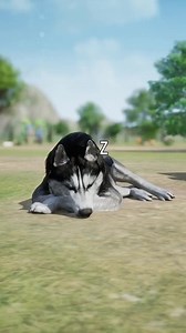 6M views · 17K reactions | New Gaming Video Part 122 #gaming #games #gameplay #gameday #gamingcommunity #shorts #Reels | Gaming Videos | Facebook