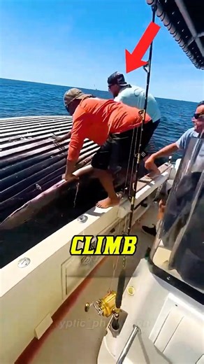Never CLIMB on a Dead Whale… Here’s Why 😳