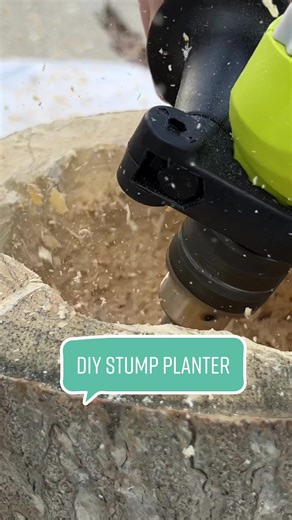 DIY Wood Stump Planter for Your Front Porch | Spring DIY Project