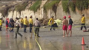 Leucadia beach reopens after deadly bluff collapse