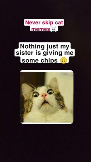 Never skip cat memes😎 funny 🐱 videos sigma cat😎☠️#cat#oia#blue#perciancat #fuunycat