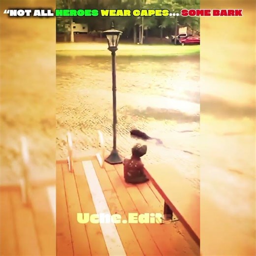 This 🥹 #edit #edits #emotionalscene