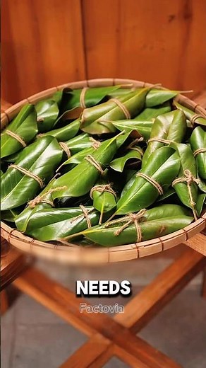 1000-Year-Old Tea Tool Process