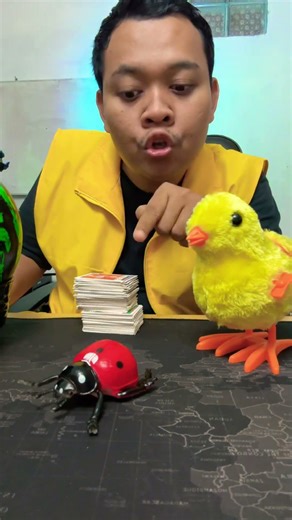 catch insects #funny #shorts