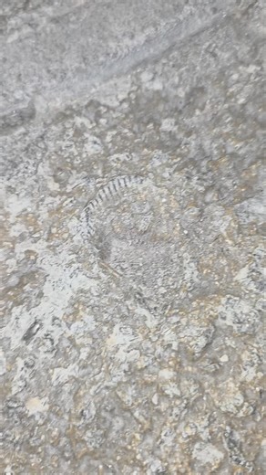 🔥 Ohio Gas Fireplace Code You Need to Know 🔥 📌 According to Ohio Admin. Code § 4101:8-24-01 (Fuel Gas Rules): ➡️ Every gas fireplace must have a manual gas shut-off valve in the same room as the fireplace. ➡️ That shut-off must be within 6 feet of the appliance. ➡️ It needs to be accessible without demolition or hiding it behind finishes. ➡️ If the valve is placed inside the fireplace firebox, it must be allowed by the manufacturer’s instructions. 🛠️ This makes sure you, your family, and fir