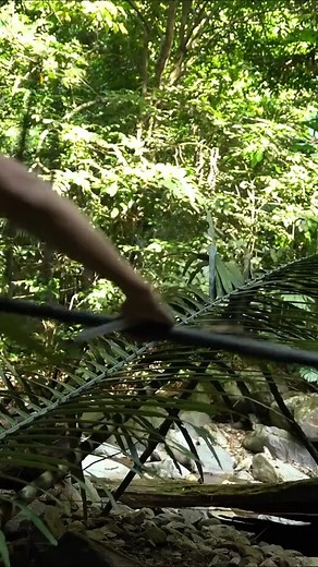 Building a shelter in the dense forest and making bamboo mouse traps by oneself #bushcraft #relax #intherain | Thomas Samantha