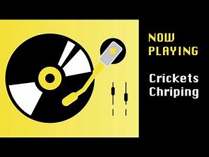 Crickets Chirping Sound Effect | Perfect for silence or awkward moments