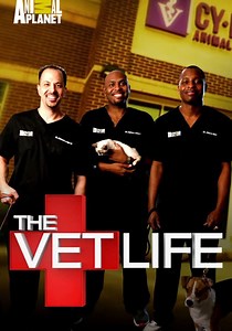 The Vet Life Season 2 - watch full episodes streaming online