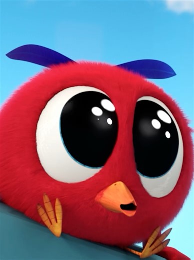 Be careful Poyo! #chicky #whereschicky #cartoon #cubecreative #animation