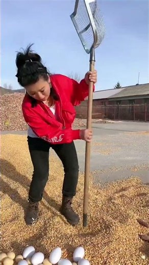 Amazing farming tool | Rural Farmers agricultural activity with farming tool #shorts #tool