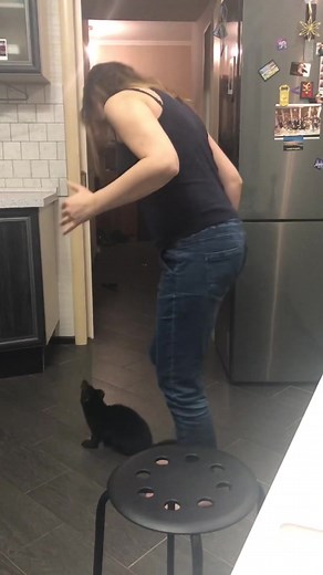 SableBuddy on TikTok