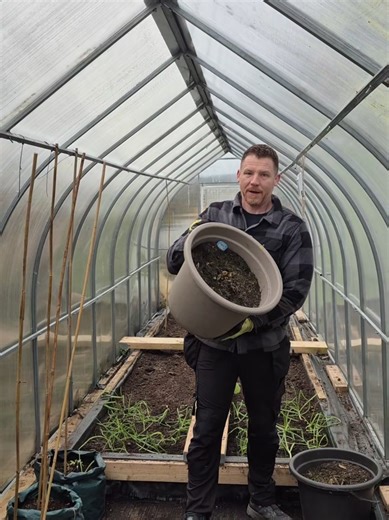 Reusing Compost for December Gardening Preparation