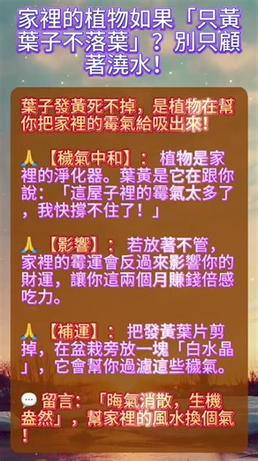 家裡的植物如果「只黃葉子不落葉」？別只顧著澆水！這是家裡的「陰氣」在吸植物的血，這叫「枯竭煞」！