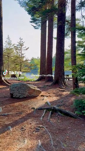 Exploring the Beauty of Mount Desert Campground