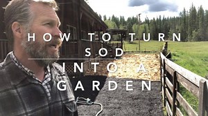 3.3K views · 104 reactions | We are converting the front yard, which is all grass, into a cottage garden. In this video, Josh will show you how to use the layering method, also know as lasagna gardening to quickly turn this sod into a space ready for planting perennials herbs and flowers. He'll also cover different ways you can do this with the time and resources you have. Don'f forget to SHARE, LIKE and SUBSCRIBE! Thank you! | Homesteading Family | Facebook