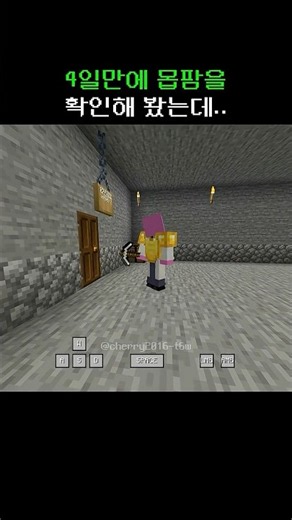 💀스켈레톤 팜 #minecraft