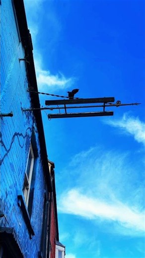 As the crow flies (a healing energy video)